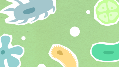 امراض معدية