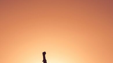 البطل الصغير